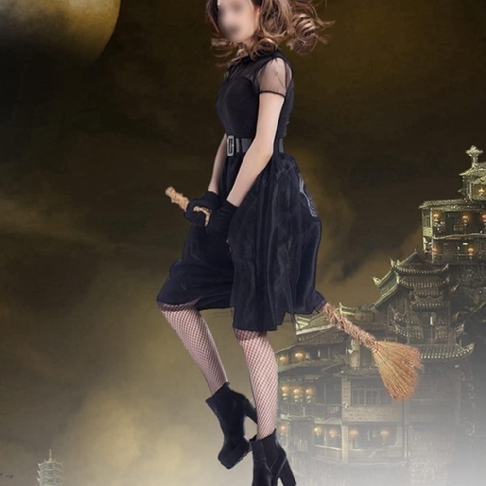 WOMANS Classic Halloween witch dress , goth sheer mesh black dress size large